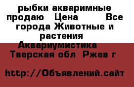 рыбки акваримные продаю › Цена ­ 30 - Все города Животные и растения » Аквариумистика   . Тверская обл.,Ржев г.